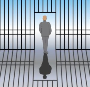 Successful bail application made by a defence lawyer