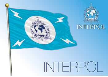 New Interpol Chief